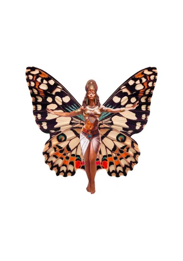 AgaKulche Kelebek Kadın 2024 Gümüş Sikke Coin