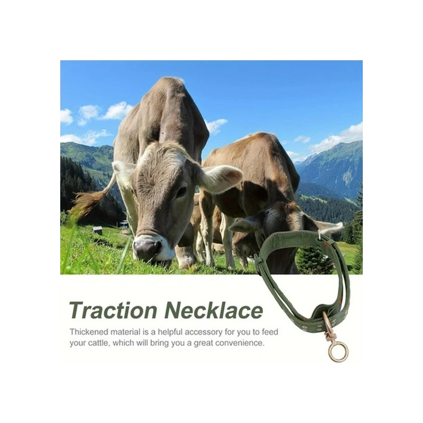 Trendooze Güneş022 L Model Kalın 4 Katlı Tokalı İnek Boyunluğu Dayanıklı Kanvas Tasma Robalı İnek Koyun At Köpek