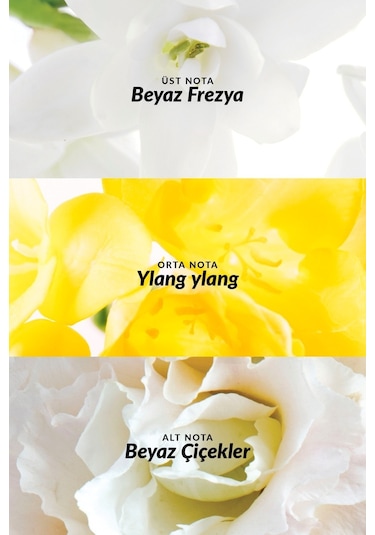 Avon Pur Blanca Kadın Roll-On 50 ML