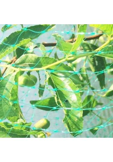 Sones 4mx5m Kuş Koruma Ağı Örgü Bahçe Bitki Ağı Bitkileri Ve Meyveleri Koruyun