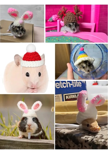 Moonx Renkli Hamster Şapkası. 272413531