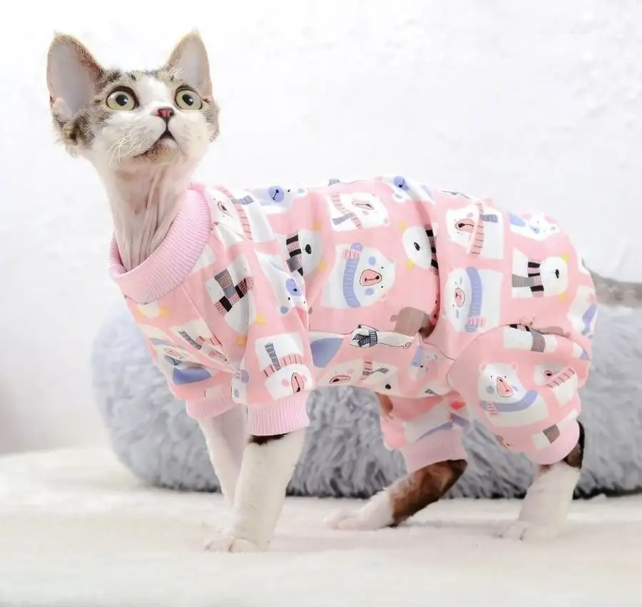 Best Golden Monkey Kediler Ve Köpekler İçin Atkısı "kış Ayıları" 124649378