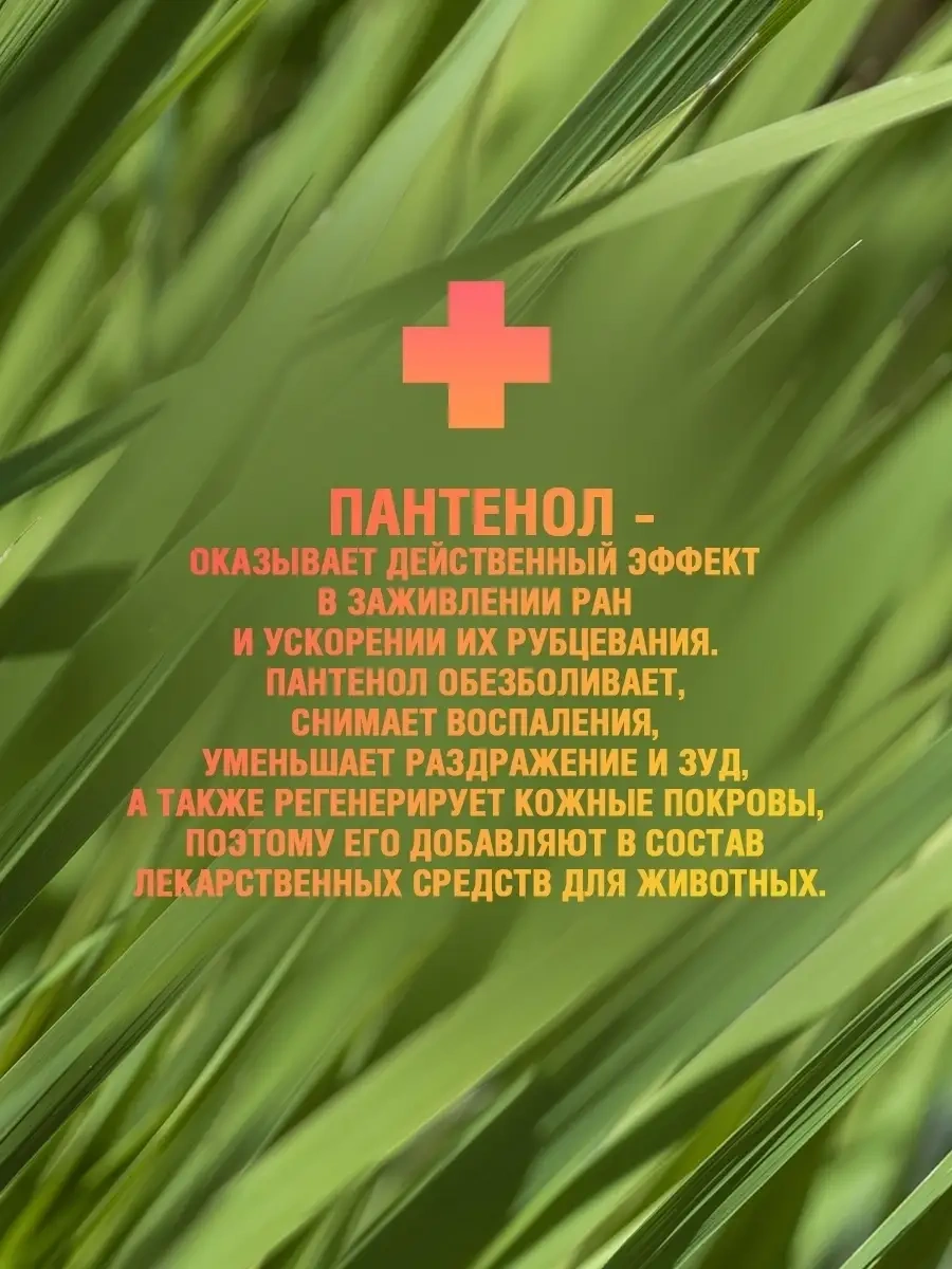 Ecozavr Kokusuz, Pantenol İçeren Eko Köpek Sabunu 500 Ml. 77484498