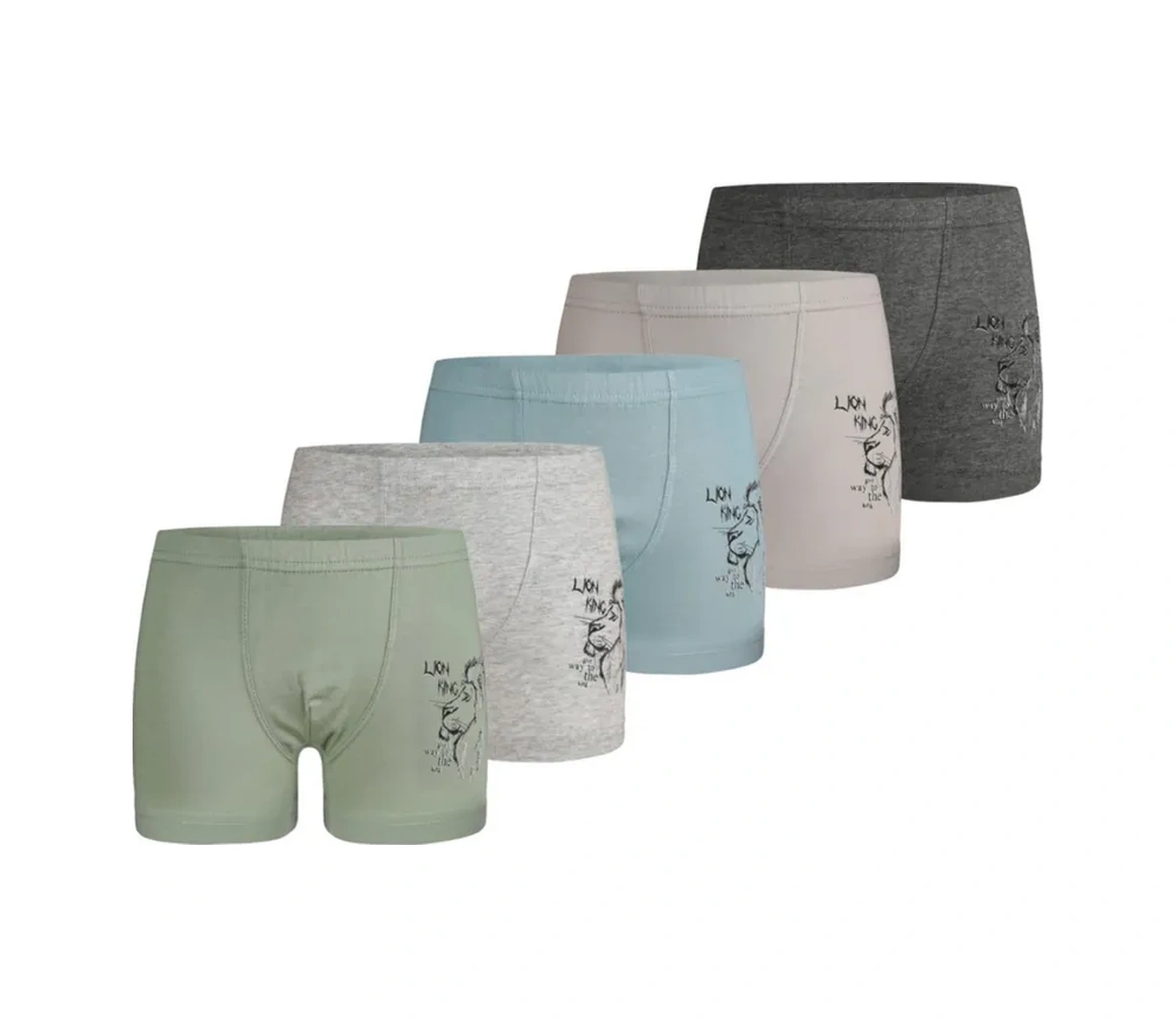 Donella 5 Adet Çocuk Külotu Seti 388120021 Gri