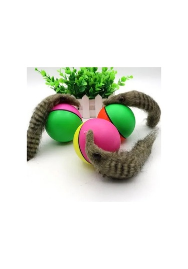 Hareketli Rakun Kedi Köpek Oyuncak Tdrtr Çok Renkli