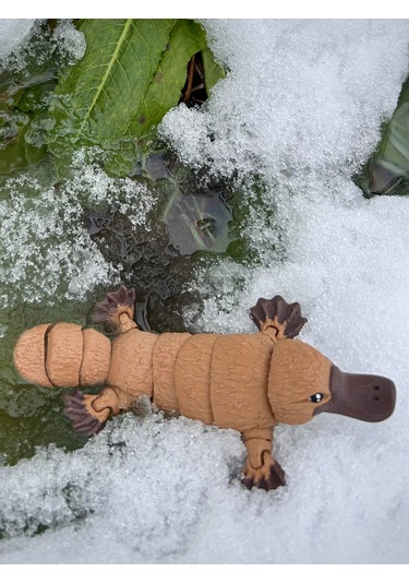 Ornitorenk Oyuncak 3d Hareketli Organik Vip Model- Büyük Boy