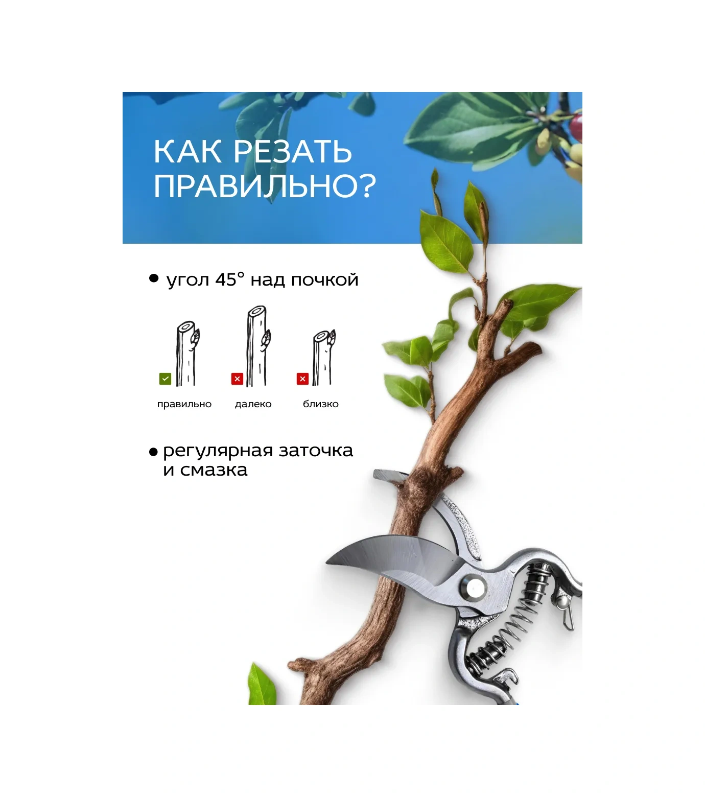 Frut Bahçe Ve Tarla İçin Dövme Budama Makası 258005917