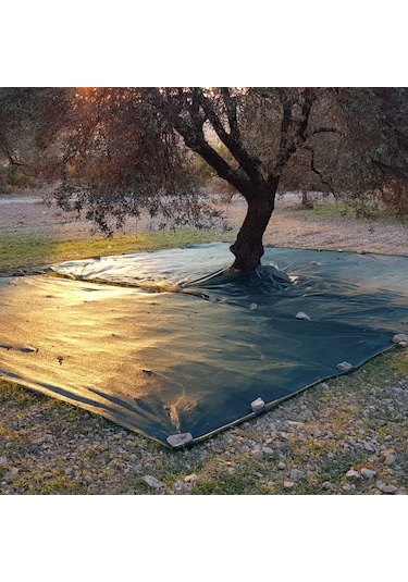 Morilu Zeytin Toplama Filesi Sergenlik Zeytin Yaygısı  Yüzde 75'lik Zeytin Filesi Toplama Örtüsü