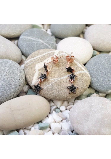 Chavin Rose Kayan Yıldızlar Gümüş Kadın Küpe Ef08Rs (478259325)