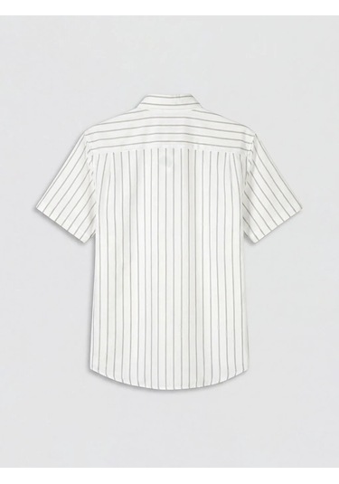 Lc Waikiki Ekru Regular Fit Çizgili Oxford Erkek Gömlek