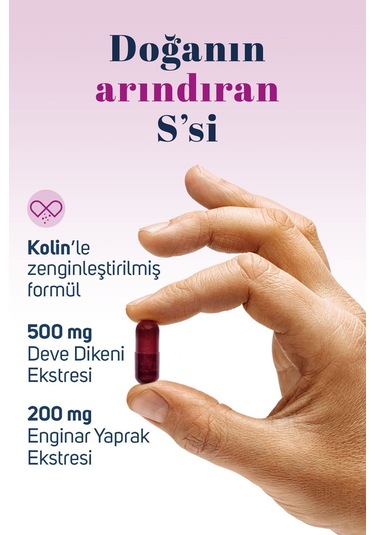 Sidrex Milk Thistle Complex Deve Dikeni Ekstresi ve Enginar Ekstresi İçeren Takviye Edici Gıda 60 Kapsül