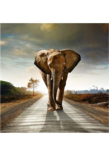 Suntek 40 Cm Tuval Baskı Duvar Sanatı Resim Dekor Süslenmiş