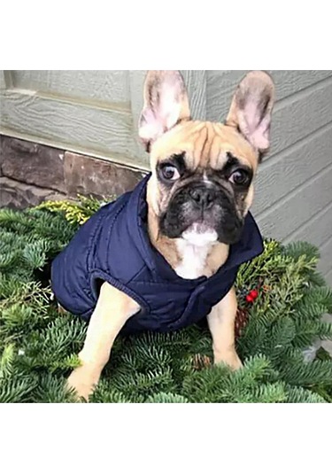 Geeksen Büyük Irk Köpekler İçin Kışlık 2 Katlı Polar Yelek, Rahat Isı Sağlar, Boyun İp Deligi, Xl Mavi Kuşaç