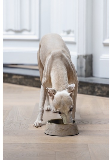 Beeztees Dbl Köpek Mama Su Kabı, Mat Altın Rengi Paslanmaz Çelik, Bej Mermer Görünümlü, 17,5cm, 350m