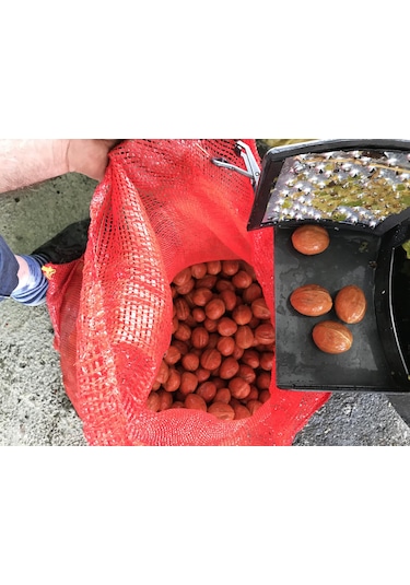 Kadıoğlu Cks80 Ceviz Soyma Makinası Sabit Devirli