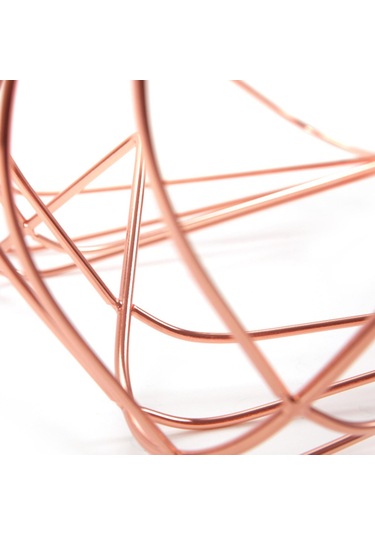 Suntek Sutyen Asılı Raf Mankenler İç Giyim Gül-altın Gül Altın Diğer