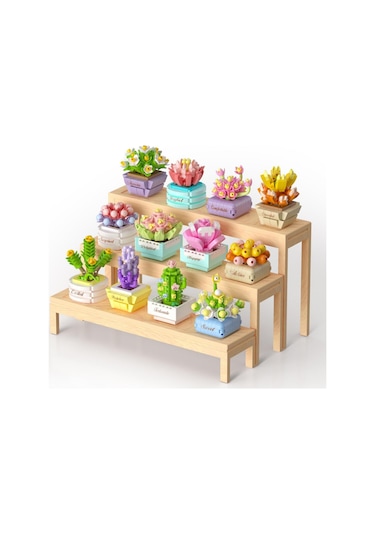 Sürpriz Saksı Çiçekleri Sukulent Serisi 3d Puzzle - 1 Adet