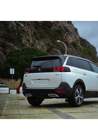 Peugeot  3008 2016 Egzoz  Nikelaji