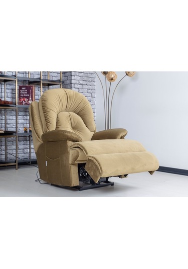 Teknokonfor Efes Tek Motor Sabit Baba Tv Koltuğu