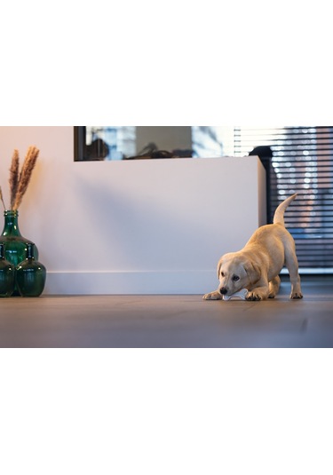 Beeztees Yavru Köpek Diş Oyuncağı, İçi Dolu Halka, Kauçuk, Pembe, 10cm