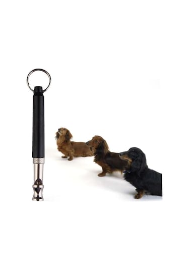 Islığı Kayışlı Kovucu Düdük. Islık Çalmayı Bırak Köpek Eğitim