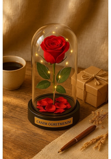Sevgiliye Eşe Öğretmenler Gününe Anlam Katan Özel Fanusta Led Işıklı Canım Öğretmenim Hediye Biblosu Çok Renkli