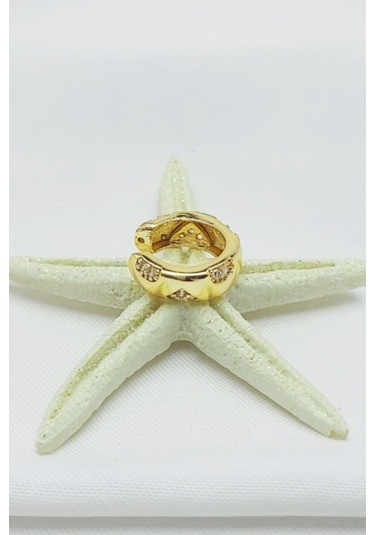 Caisyabutik Altın Kaplama Özel Seri Çelik Kıkırdak Küpesi 1,5 CM Altın