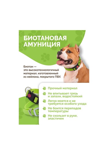 Ooo "firma Kaskad" Köpek Tasması 343182167 Yeşil