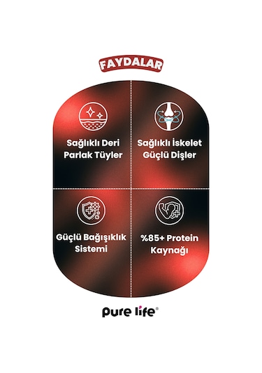 Purelife Prime Biftekli Yetişkin Köpek Maması 15 KG