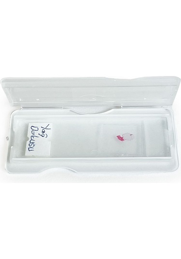 ISOLAB Lam Taşıma Kutusu 1 Lam