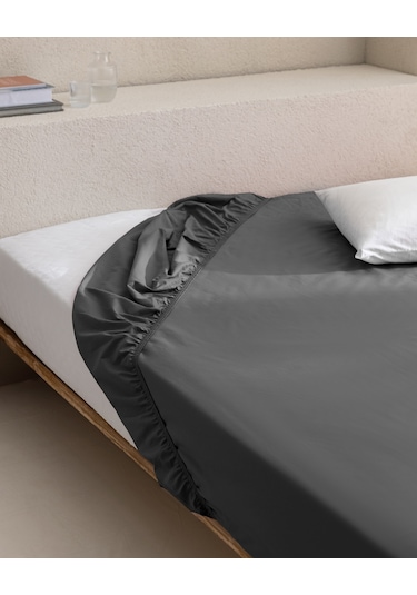 Madame Coco Manon Tek Kişilik %100 Pamuk Ranforce Lastikli Çarşaf - Mor Crsf0000000027 Mürdüm