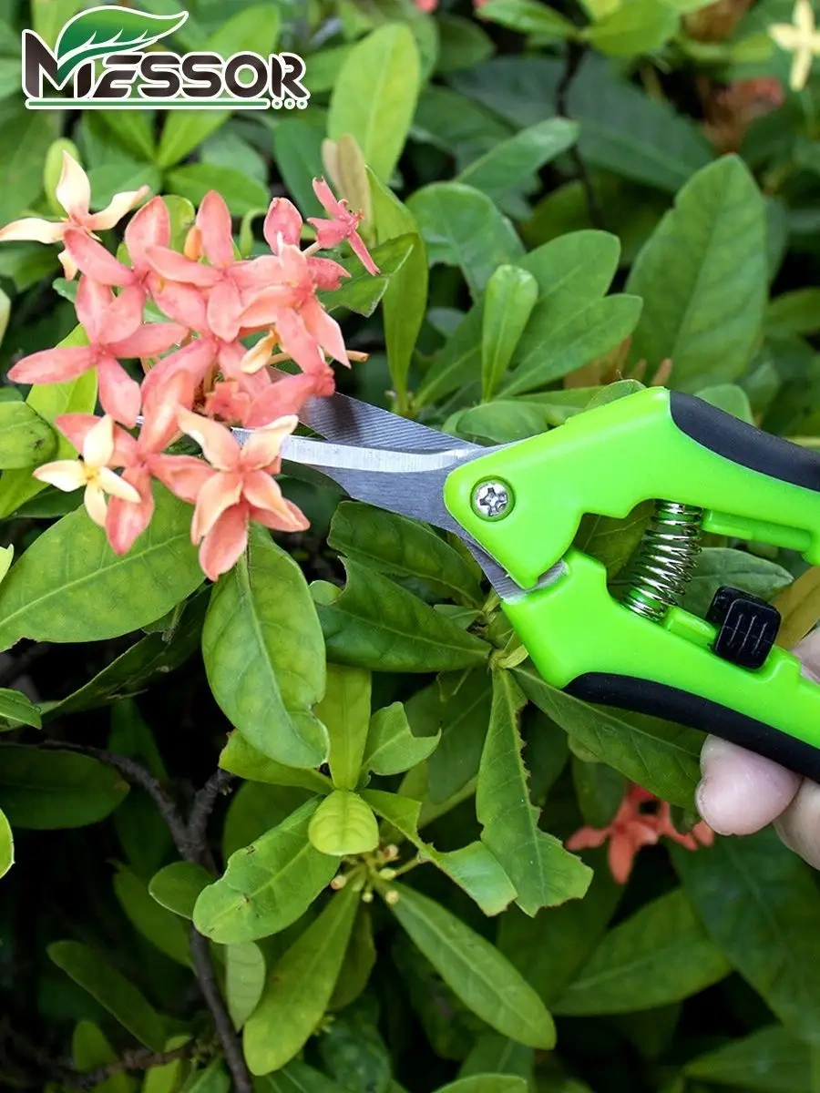 Messor Bahçe Mekanik Makası, Çalı Ve Kozalaklı Bitkiler İçin Budama Makası 86117601