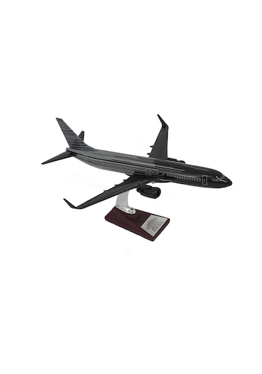 Zekupp Boeing 737-800 1/100 Siyah Çok Çizgili Tasarım Model Uçak