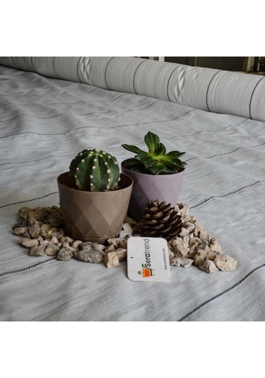 1X20 M Sulzer Kumaş Sera Taban Örtüsü Jüt Blueberry Peyzaj Uy