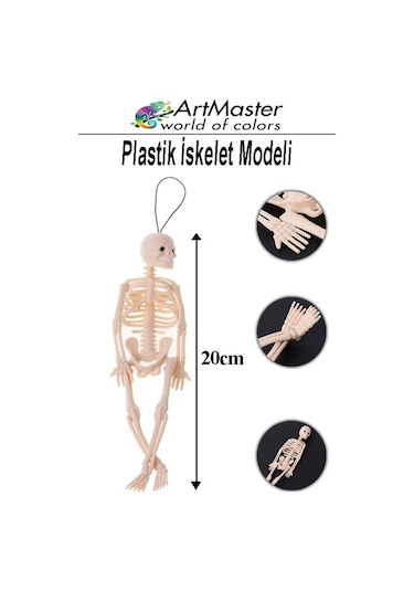 İskelet Modeli Plastik 20 Cm 1 Adet Silikon İnsan İskeleti Plastik İsket Modeli Silikon İskelet Deneyi Araba Süsü