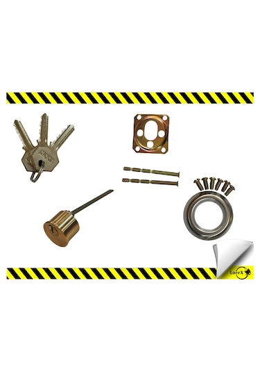 Lorex Zincirsiz Kapı Otomatiği