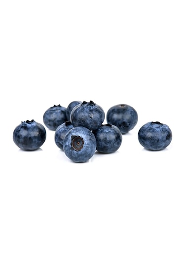 Tüplü Yaban Mersini Blue Berry Fidanı