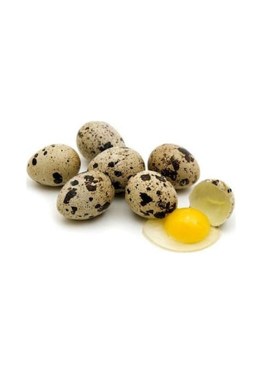 Bıldırcın Yumurtası