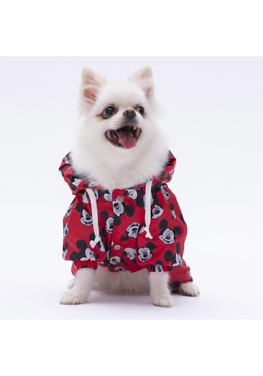 Pettrend Mickey Mouse Tulum Yağmurluk Köpek Kıyafeti Köpek Yağmurluğu