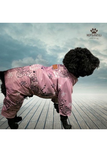 Alphadog Shawl Küçük Irk Kalın Köpek Tulum Yağmurluğu