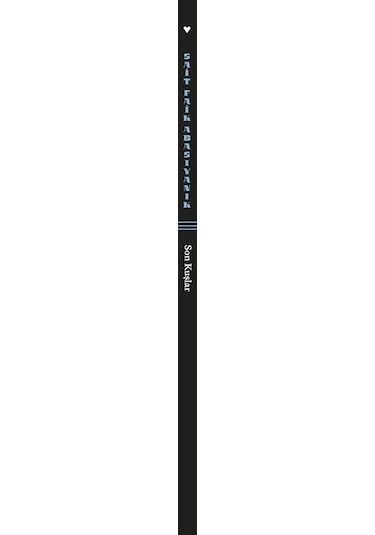 Son Kuşlar 9789750764981