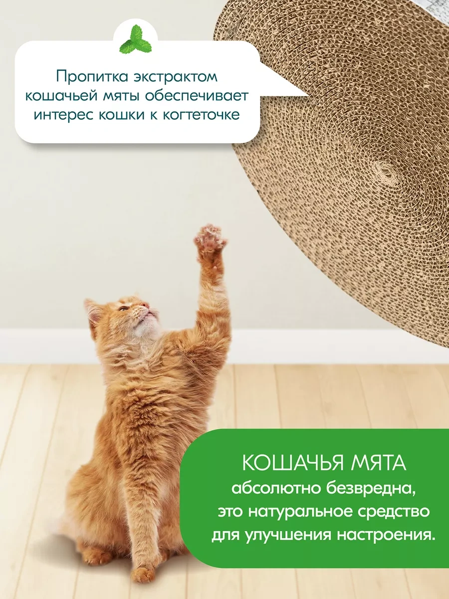 Pettails Karton Oluklu Mukavva İle Emprenye Edilmiş Kedi Tırmalama Tahtası 160445075