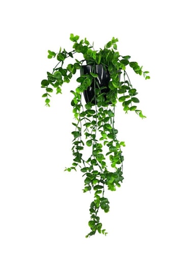 Yapay Çiçek Saksıda Sarkan Şimşir Okaliptus Yapay Sarmaşık 56cm Siyah Saksıda