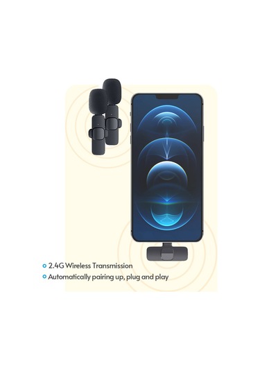 Mini Kablosuz Klipsli Yaka Mikrofonu Çok Yönlü Mikrofon 2 Verici 1 Alıcı Rüzgarlık Tipi C