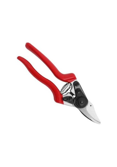 Pazly Tian Tayvan Sakawa Sagawata Meyve Makası Makası Gözdesi Budama Bahçe Amazon'un Ağaçları 7005 7005 Qj