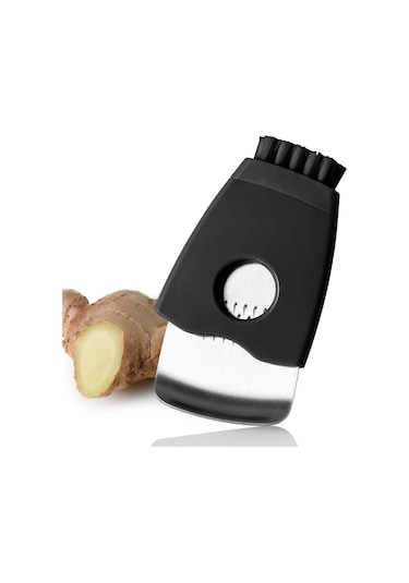 Adhoc Zenzero Zencefil Rendesi Çelik