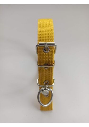 Kozaklı Küçük Irk Köpek Tasması Sarı 50 x 2.5 CM Sarı