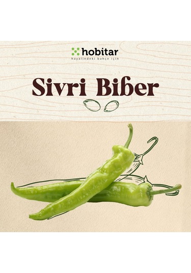 Hobitar Hesaplı Sebze Manavı Tohum Paketi - 5 Çeşit Sebze Tohumu