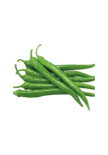 GReen Line Sera Demre Biber Tohumu 25GR 1 Paket