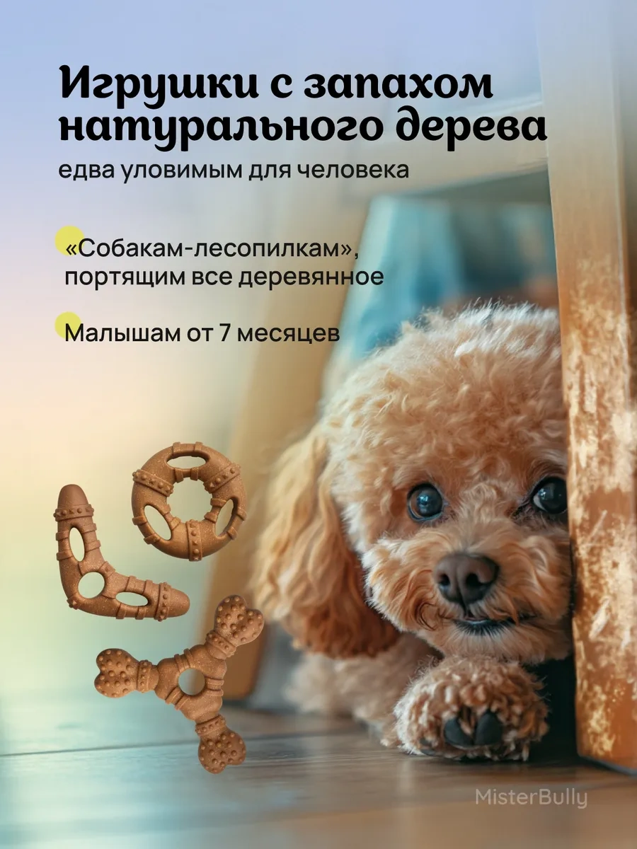 Misterbully Küçük Irk Köpekler Ve Yavru Köpekler İçin Diş Oyuncağı Seti 3'ü 1 Arada 264325071